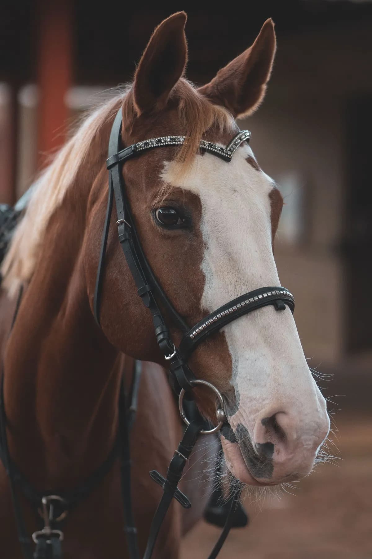Hunza Bridle