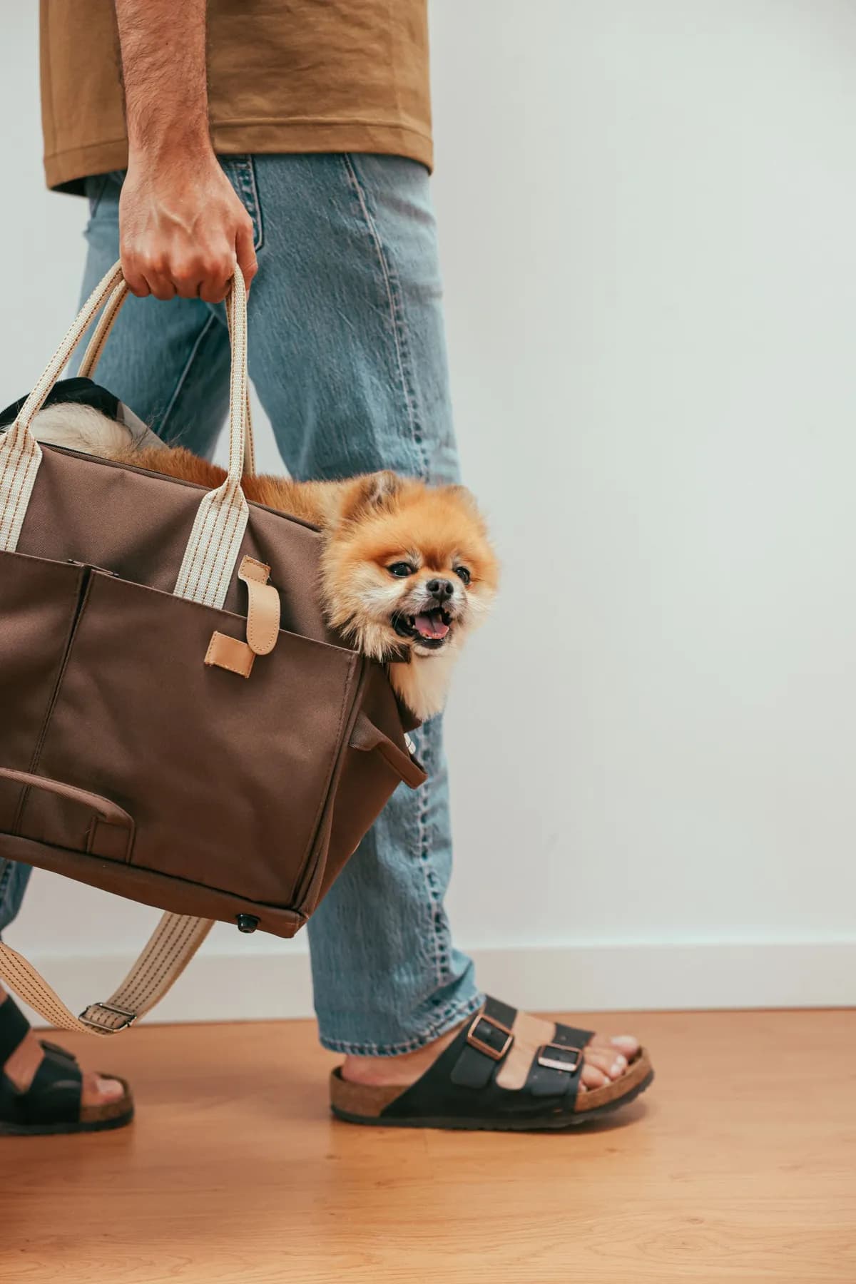 Makran Pet Carrier
