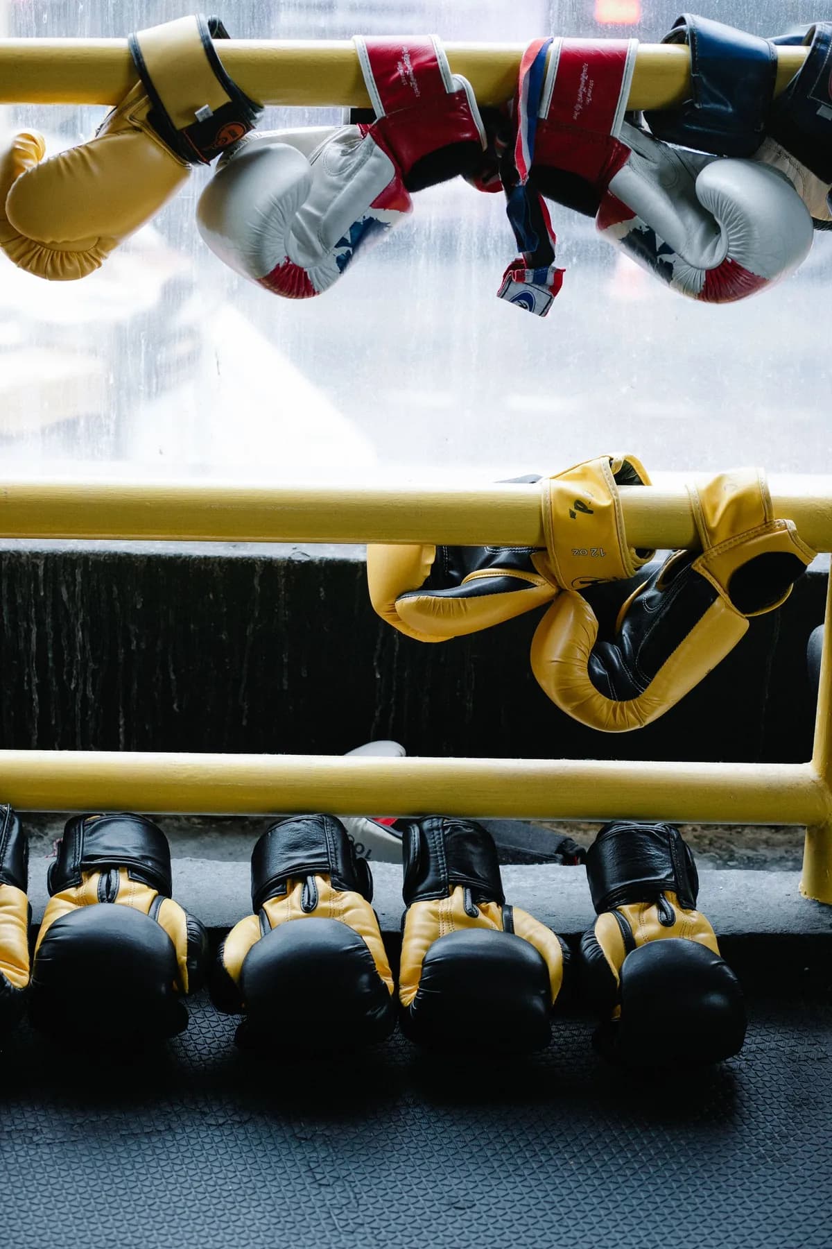 Mughal Training Gloves