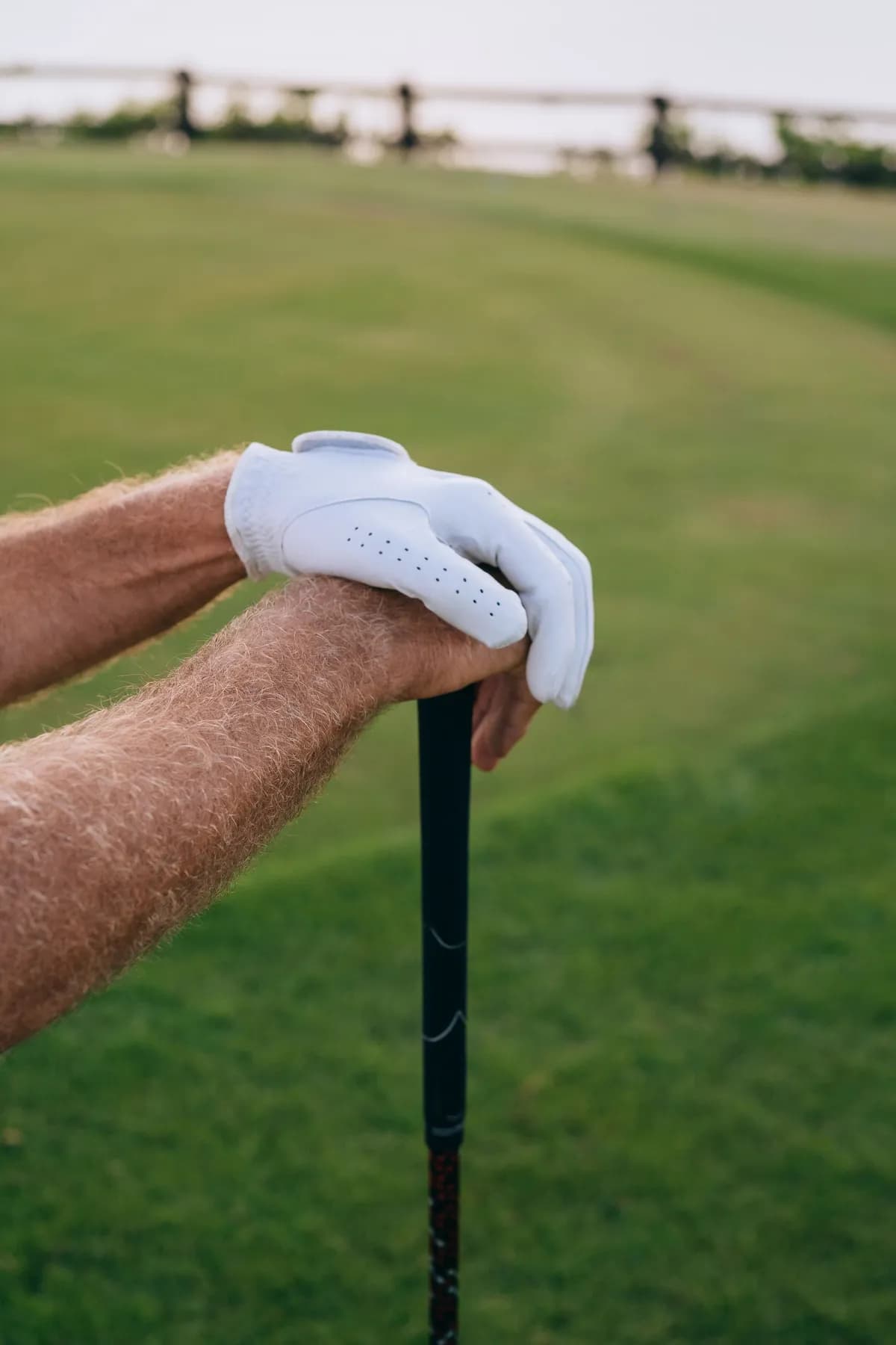 Neelum Golf Gloves