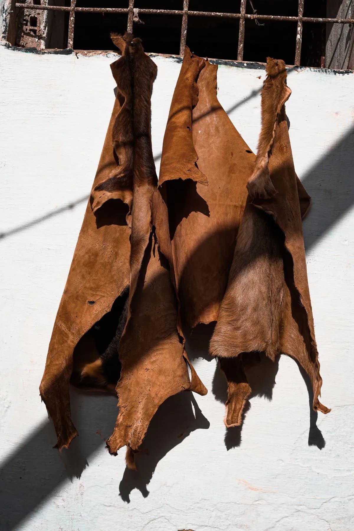 Premium Full-Grain Leather